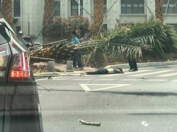 廈門一轎車瘋狂沖向安全島，現場一片狼藉，三死五傷…綠燈過馬路也要注意安全！