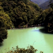 安溪龍門森林公園