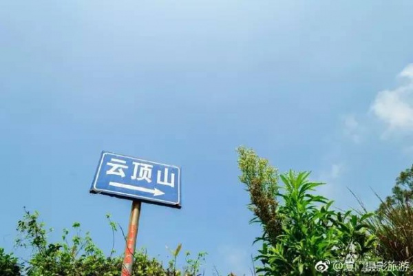 太美啦！同安云頂山杜鵑花美麗綻放！周末又可以組團去觀賞！