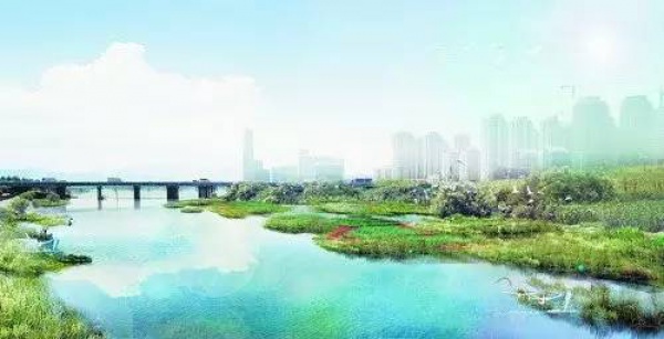 驕傲！杏林灣濕地公園再添“新名片”，廈門(mén)市唯一上榜，再過(guò)不久要驚艷登場(chǎng)！