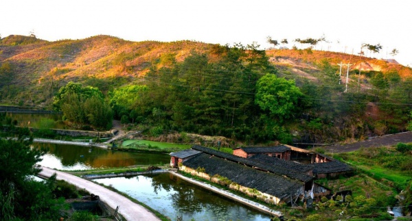 號外！林俊杰投資15億建設(shè)世外桃源，打造廈門最美后花園