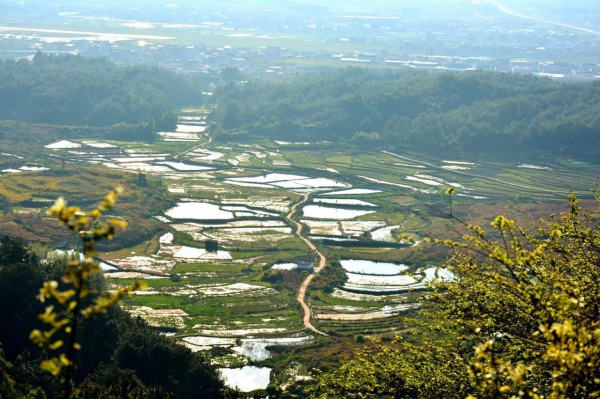 號外！林俊杰投資15億建設(shè)世外桃源，打造廈門最美后花園