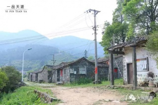 去玩|廈門云頂山火了！原因竟是因為映山紅又雙叒叕紅了...