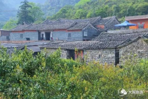 去玩|廈門云頂山火了！原因竟是因為映山紅又雙叒叕紅了...