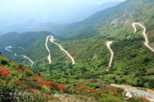 去玩|廈門云頂山火了！原因竟是因為映山紅又雙叒叕紅了...