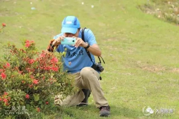去玩|廈門云頂山火了！原因竟是因為映山紅又雙叒叕紅了...