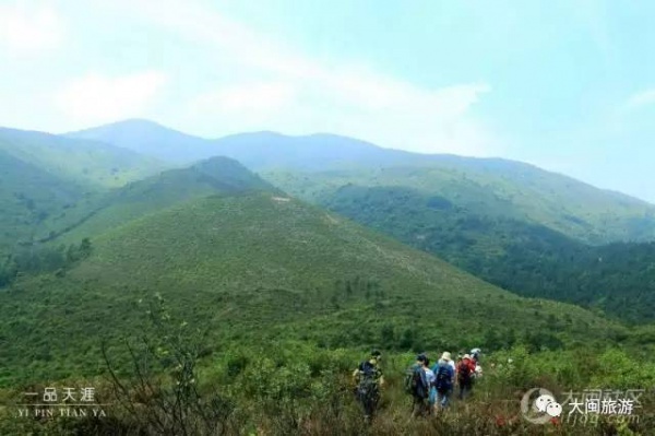 去玩|廈門云頂山火了！原因竟是因為映山紅又雙叒叕紅了...