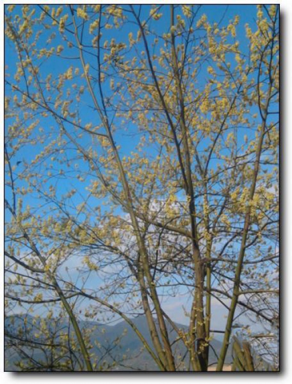 海峽藍天生態(tài)莊園_<a style=