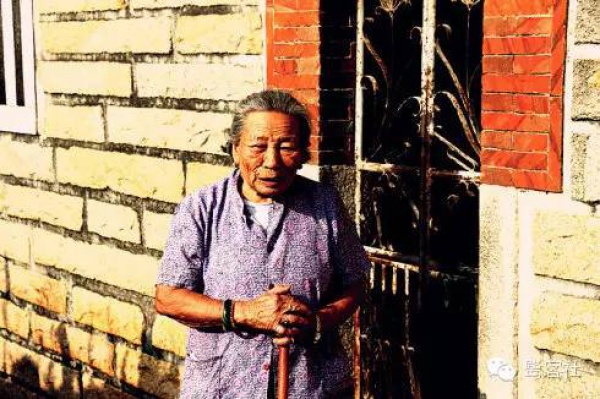 發現廈門：悄無人跡的古松林遺址