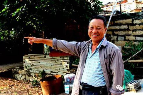 發現廈門：悄無人跡的古松林遺址