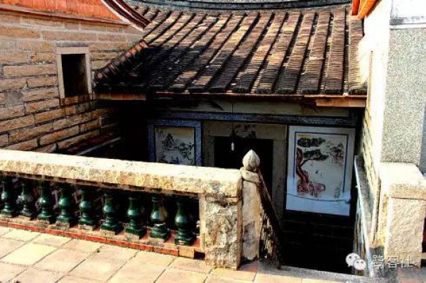 發現廈門：悄無人跡的古松林遺址