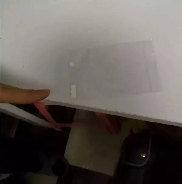 警惕！看到這種“郵票”千萬別碰，毒性極強還會通過皮膚吸收