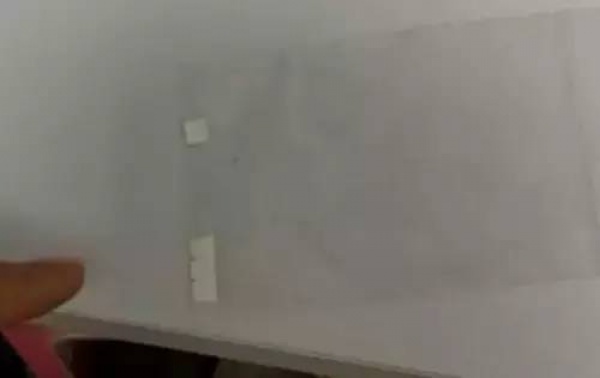 警惕！看到這種“郵票”千萬別碰，毒性極強還會通過皮膚吸收
