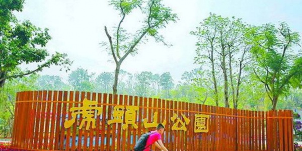 為了生男孩，廈門一媽媽拼命喝這種水！之后居然中毒，四肢發(fā)麻抽搐……醫(yī)生都驚呆了！