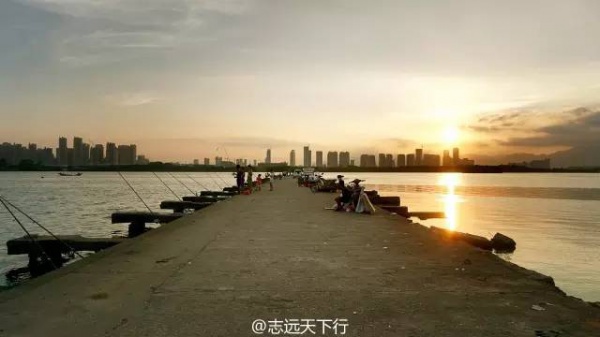 羨慕之極丨千與千尋里的海上列車竟然真的有，廈門人民有福了~