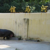 薌城漳州動(dòng)物園