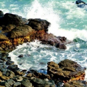 漳浦林進(jìn)嶼