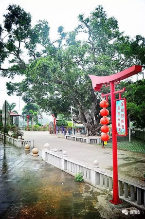 翔安有個名副其實的美麗小山村...