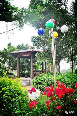 翔安有個名副其實的美麗小山村...
