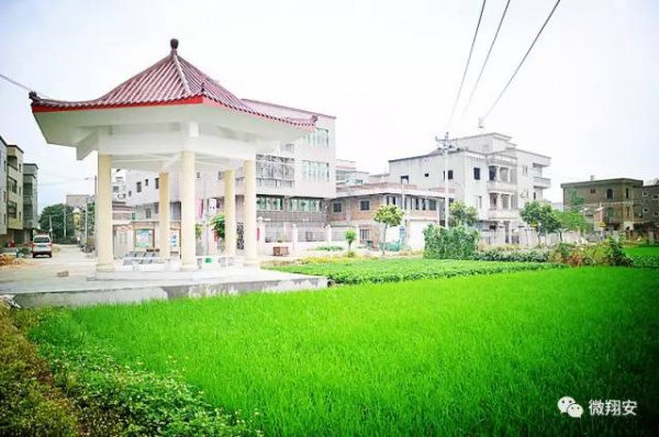 翔安有個名副其實的美麗小山村...