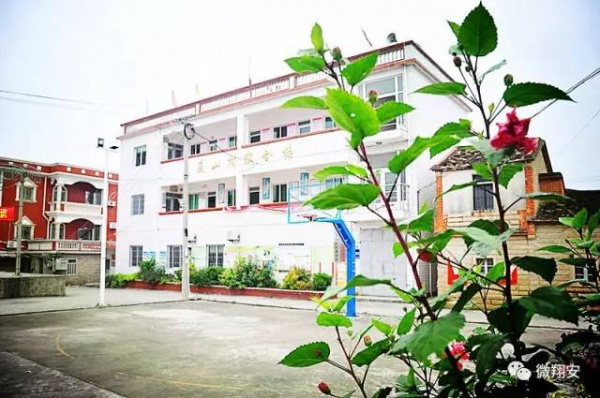 翔安有個名副其實的美麗小山村...