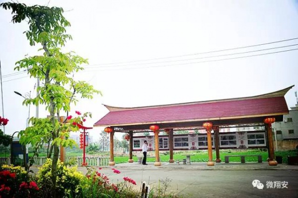 翔安有個名副其實的美麗小山村...