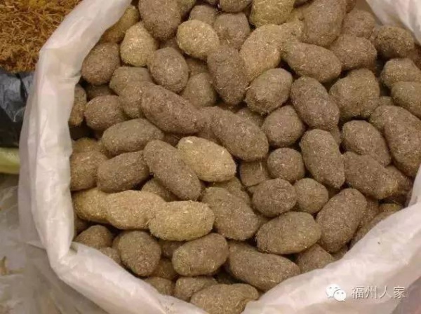 端午習俗丨奇葩的捉鴨子、四角狗、熏黃煙…你家是福建哪里的？