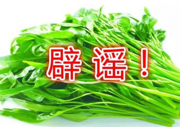 空心菜最毒？鯰魚最臟？西紅柿與蝦蟹會產(chǎn)生砒霜？答案來了