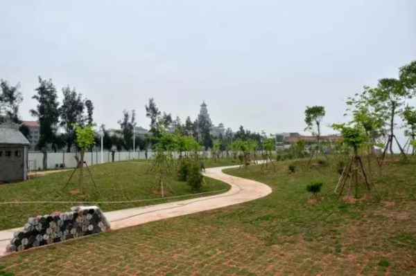 完美天際丨集美學村，美麗天際線將完美呈現(xiàn)