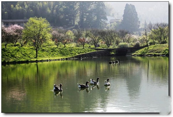 旗山森林公園_<a style=