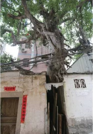 “龍聚地真”，曾被朱熹盛贊的