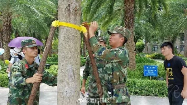 最新！雙臺風之一“納沙”明早8點前后登陸福建！已對臺灣造成重創(chuàng)，廈門或成暴雨重災區(qū)……
