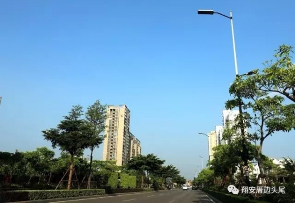 鳳凰涅槃！莫蘭蒂一周年，這些感動全翔安的畫面你還記得嗎？