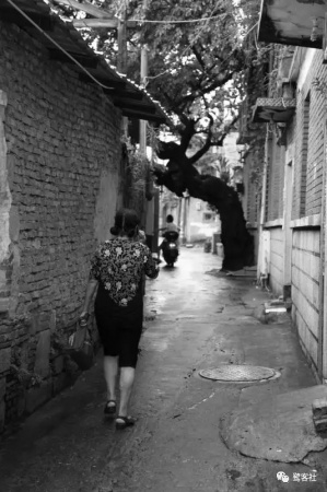 千年古街：泉州文人洪泓奇文寫西街，不看完不是泉州人