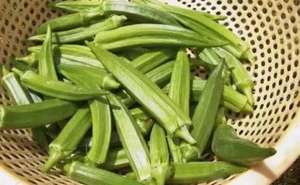 廈門人還在吃秋葵嗎？都趕緊看看吧！別怪我說晚了……
