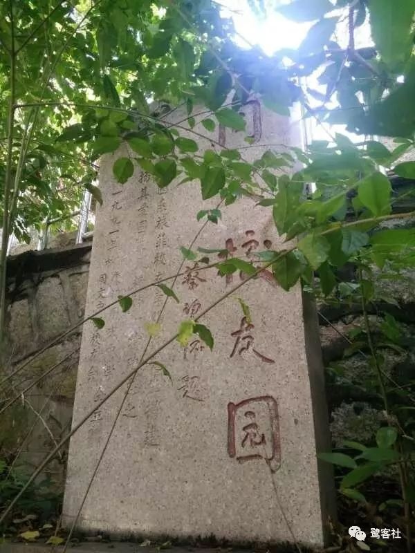 廈門記憶：飄過望高石的風(fēng)雨聲