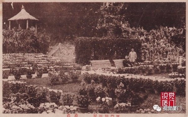 注定留不住的鼓浪嶼菽莊花園，一次次毀滅和重生