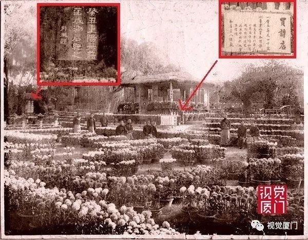 注定留不住的鼓浪嶼菽莊花園，一次次毀滅和重生