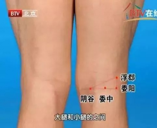 快看看你身體的10大黃金三角區！小心保護，養好了，百病不擾！