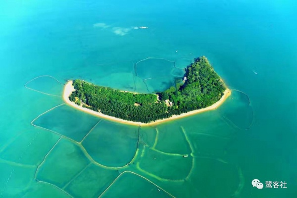 重磅：廈門鱷魚嶼驚現一只小海龜暢游大海，您知道它是什么龜嗎