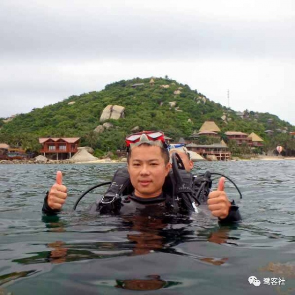 重磅：廈門鱷魚嶼驚現一只小海龜暢游大海，您知道它是什么龜嗎